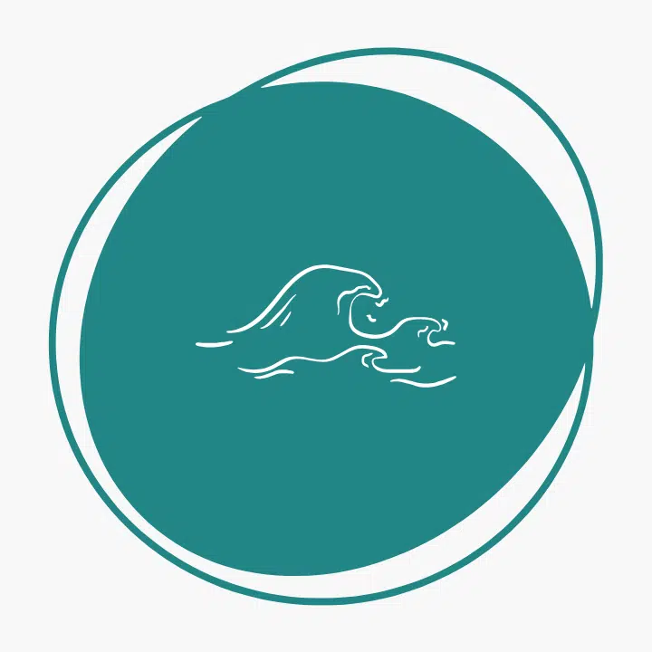 Mindfullnes para PAS